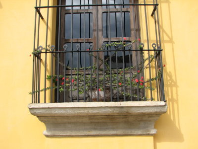 Window Grates