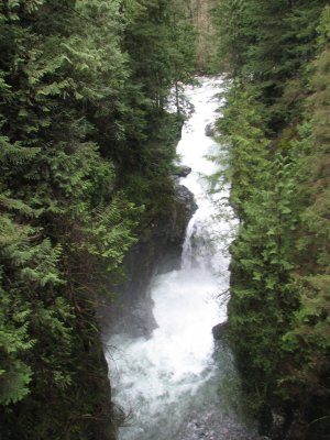 Lynn Canyon