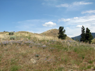 Rolling hills