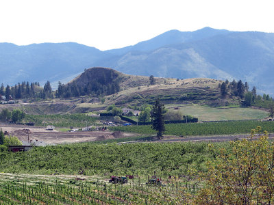 Munson Mt.