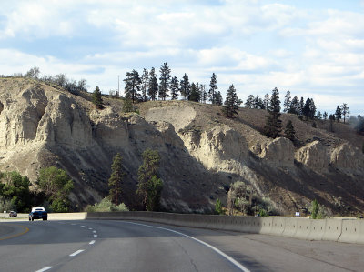 Hoodooish