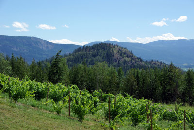 Larch Hills Winery