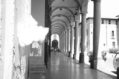 IMG_1204.jpg