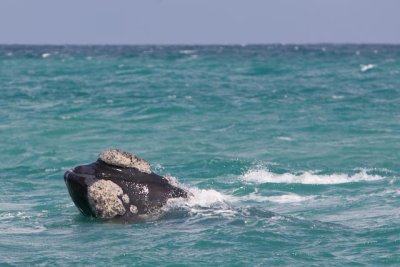 IMG_5113.jpg