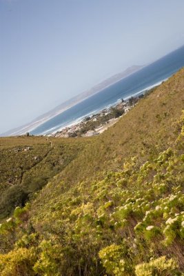 Whale Watching in South Africa