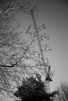 IMG_5909.JPG