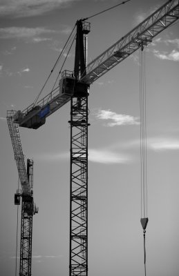 _MG_3128.JPG
