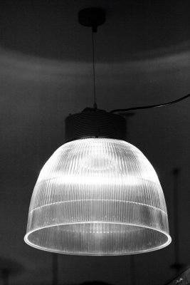 _MG_7888.JPG