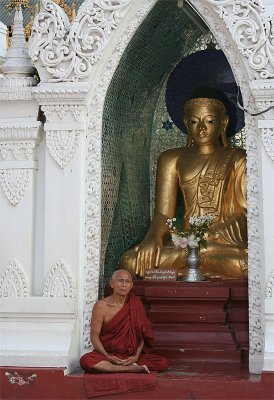 Monk In Meditation, Shwedagon (Dec 06)