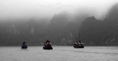 Mysterious Landscape Of Halong Bay (Mar 07)