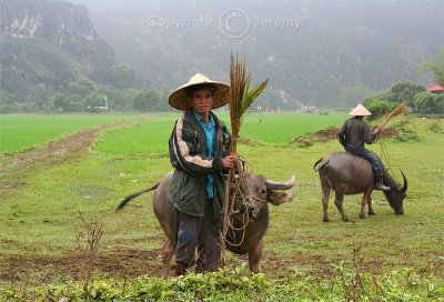 Hoa Lu, Ancient Capital of Vietnam (Mar 07)