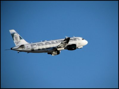 Frontier Airlines Airbus A319 (N938FR) Misty the Polar Fox