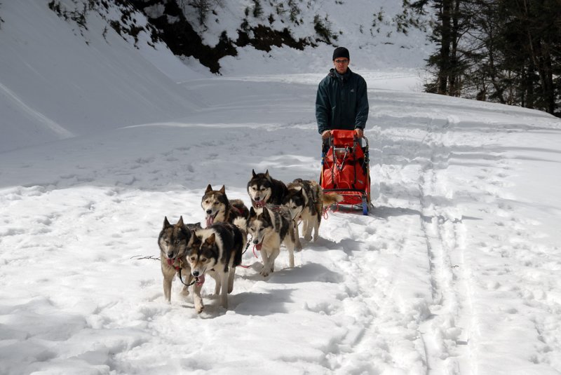 Dog sledding