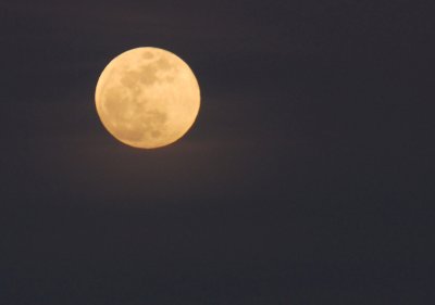 Full moon, part frame
