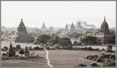 Bagan Vista at Dusk