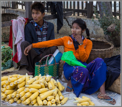 Corn Sellers