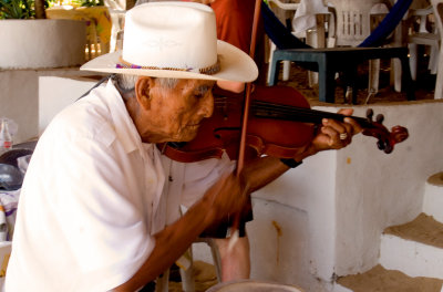 Fiddlin