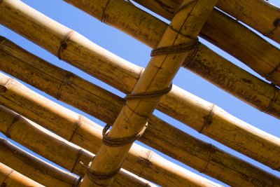 Thatched Roof