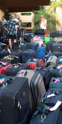 Which Bag?