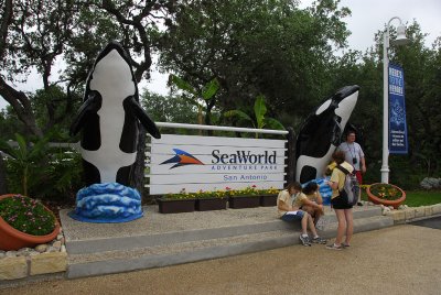 SW 2.jpg