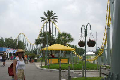 SW 29.jpg