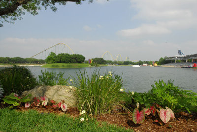 SW 40.jpg