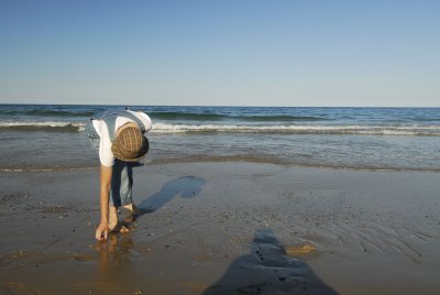 Nauset Beach Orleans