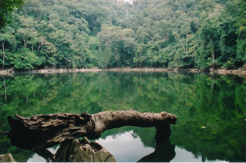 Fairy Pond