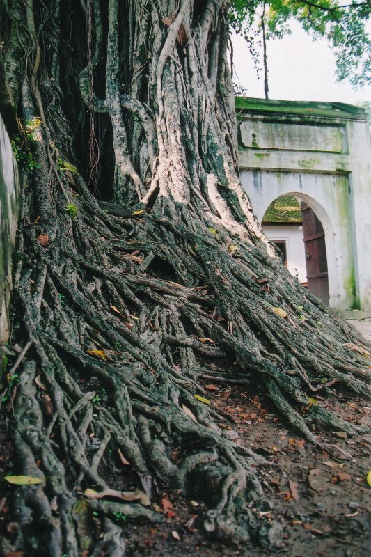 Temple of Literature