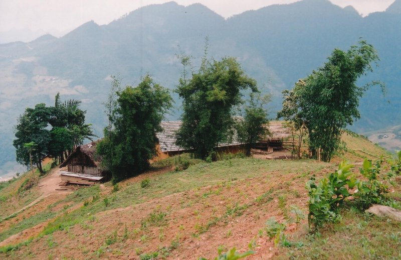 Hillside huts.jpg