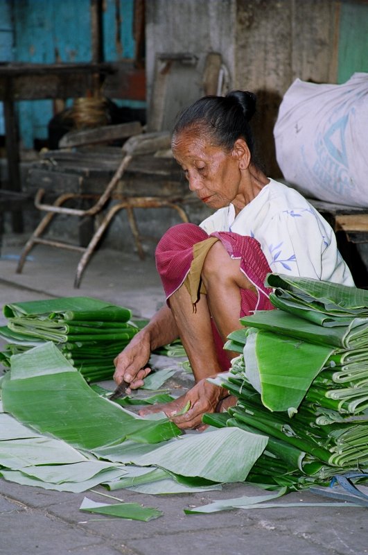 Yogya bird market