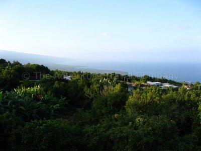 IMG_4841.jpg