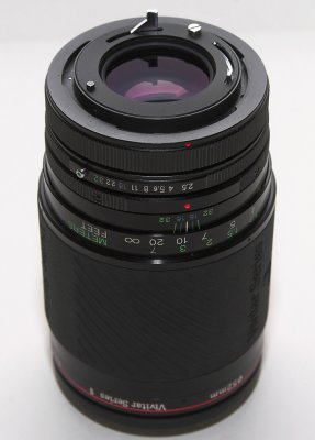 viv.2.jpg