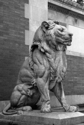 lion statue at zoo center