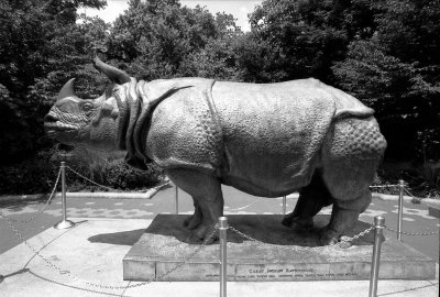 rhino statue at zoo center