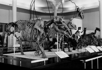 museum