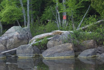 boulders! - smallmouth bass territory