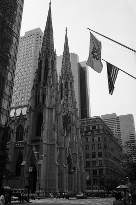 glorious 5th ave NYC