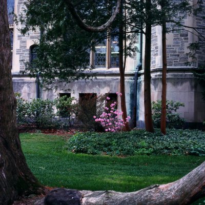 library building at Vassar College