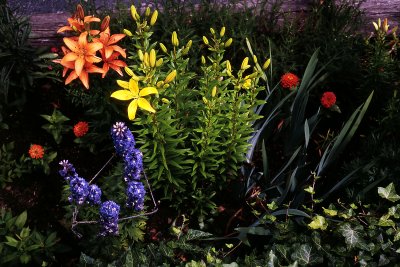 Vermont flower garden