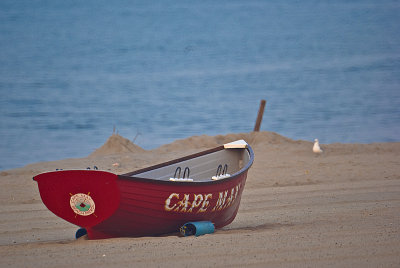 lifeboat and gull