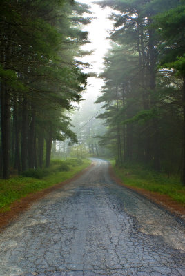 country road