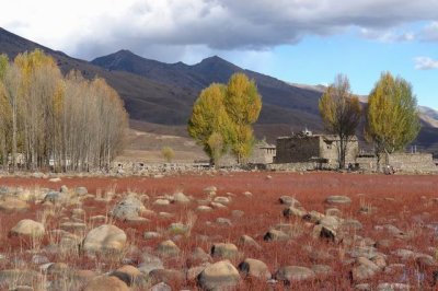 Pond of red weed in highland, Doecheng