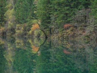 Arrow Bamboo Lake, Jiuzhaigou