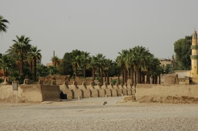 The avenue of Sphinxes (Luxor and Karnak)