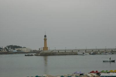The port of Alexandria