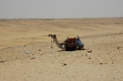 The Desert of Sahara
