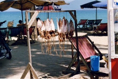 Dried squids along the beach(Vietnam)