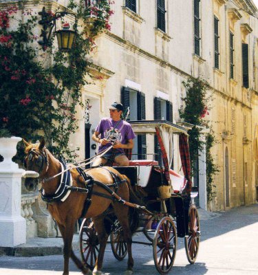 Horse carriage on Malta street