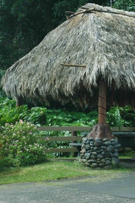 Hawaian hut along the river
